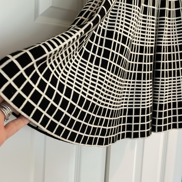 Flit and Flare A Line Skirt - Picture 3 of 6